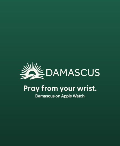 Damascus screenshot 21