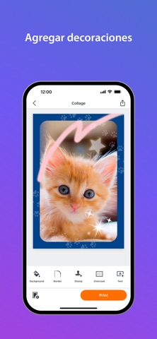 SELPHY Photo Layout screenshot 4