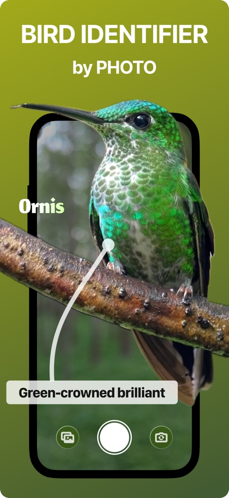 Bird Sound Identifier - Ornis - Reference App | MWM