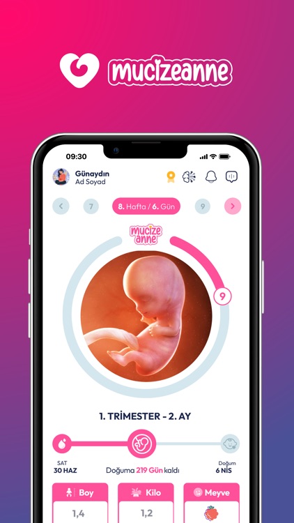 Mucize Anne Hamilelik Takibi