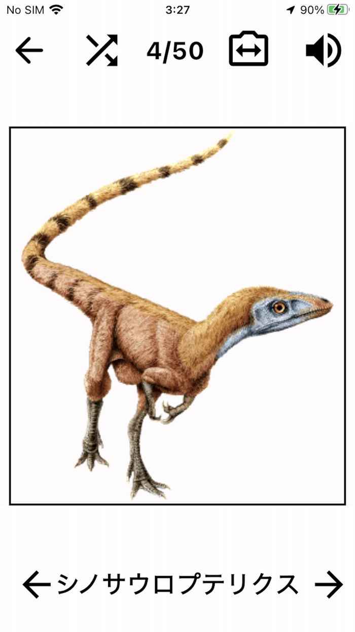 恐竜クイズ Dino Flash Card