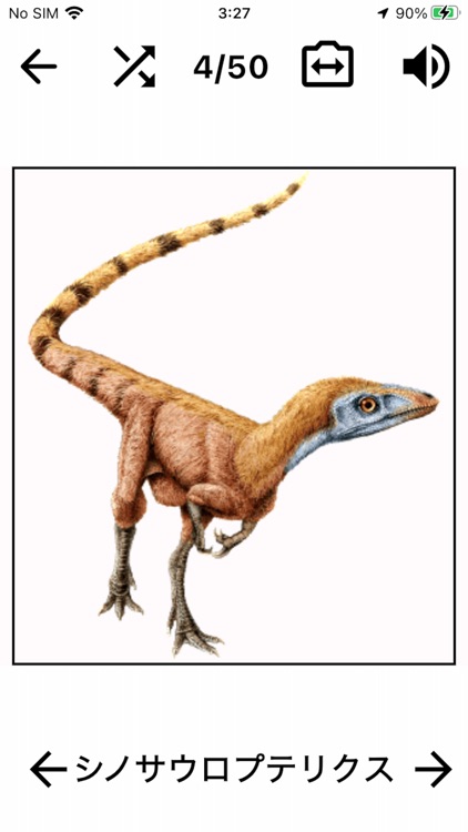 恐竜クイズ Dino Flash Card screenshot-3