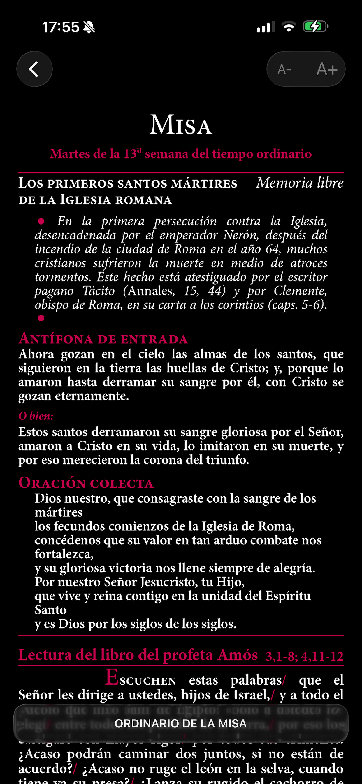 MAGNIFICAT en español screenshot 4