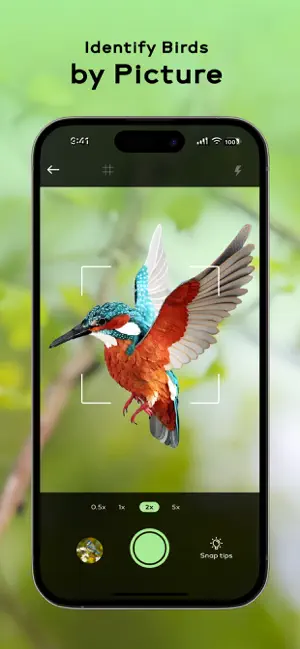 Bird Sounds Identifier Call ID screenshot 3