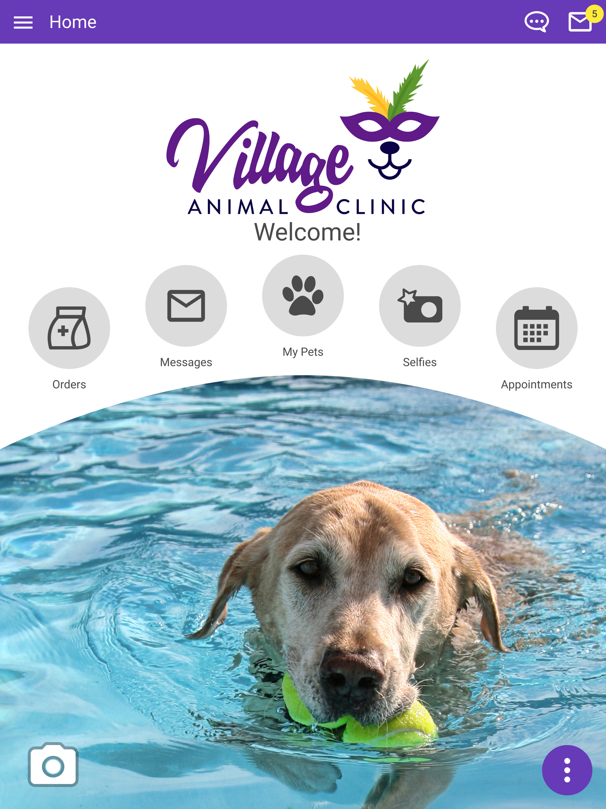 Village Animal Clinic