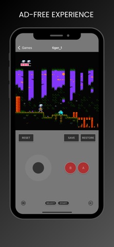 NesFun screenshot