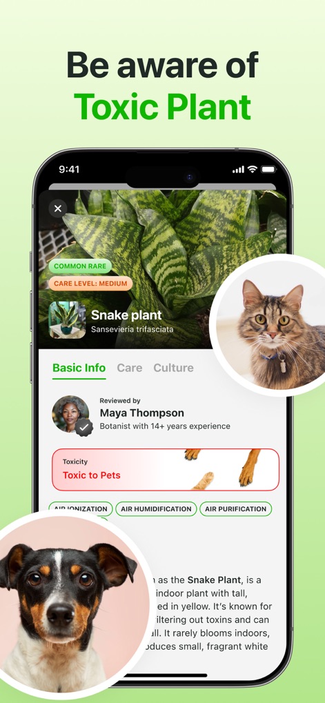Plant Identifier & Care App - The app provides crucial 'Toxic to Pets' warnings for identified plants, alongside detailed 'Basic Info' tabs to ensure household safety.