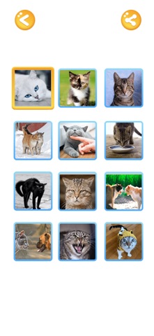 Кошачий переводчик для кошек screenshot