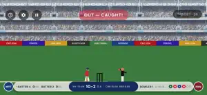 Cricket 2D screenshot 2