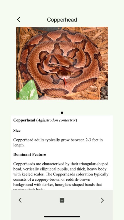 Wildlife of Texas screenshot-5