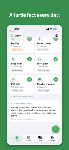 Shellpal: Turtle & Tortoise screenshot 4
