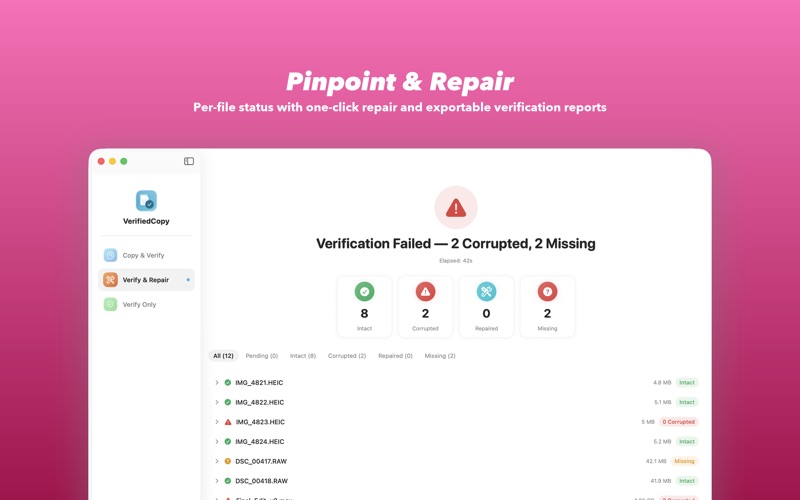 VerifiedCopy screenshot