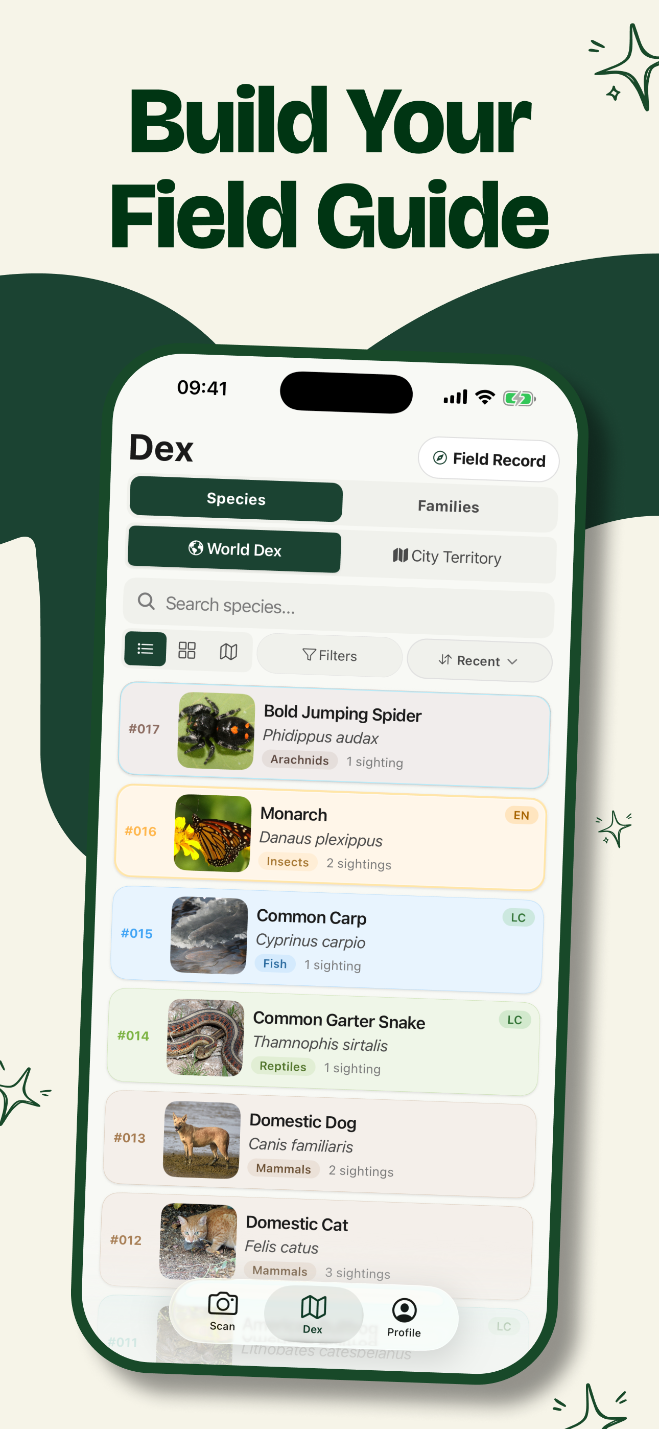 RealDex screenshot 2