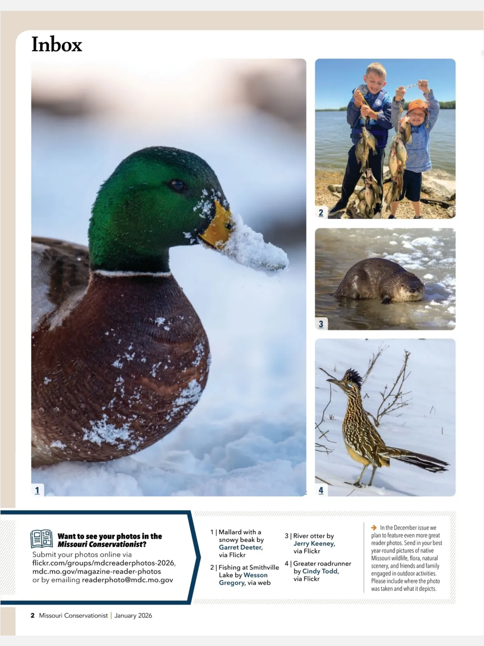 MO Conservationist Magazine
