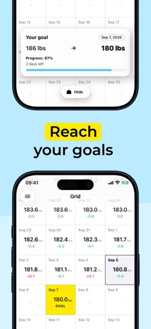 Weight Grid: Weight Tracker Screenshot 2 of 4