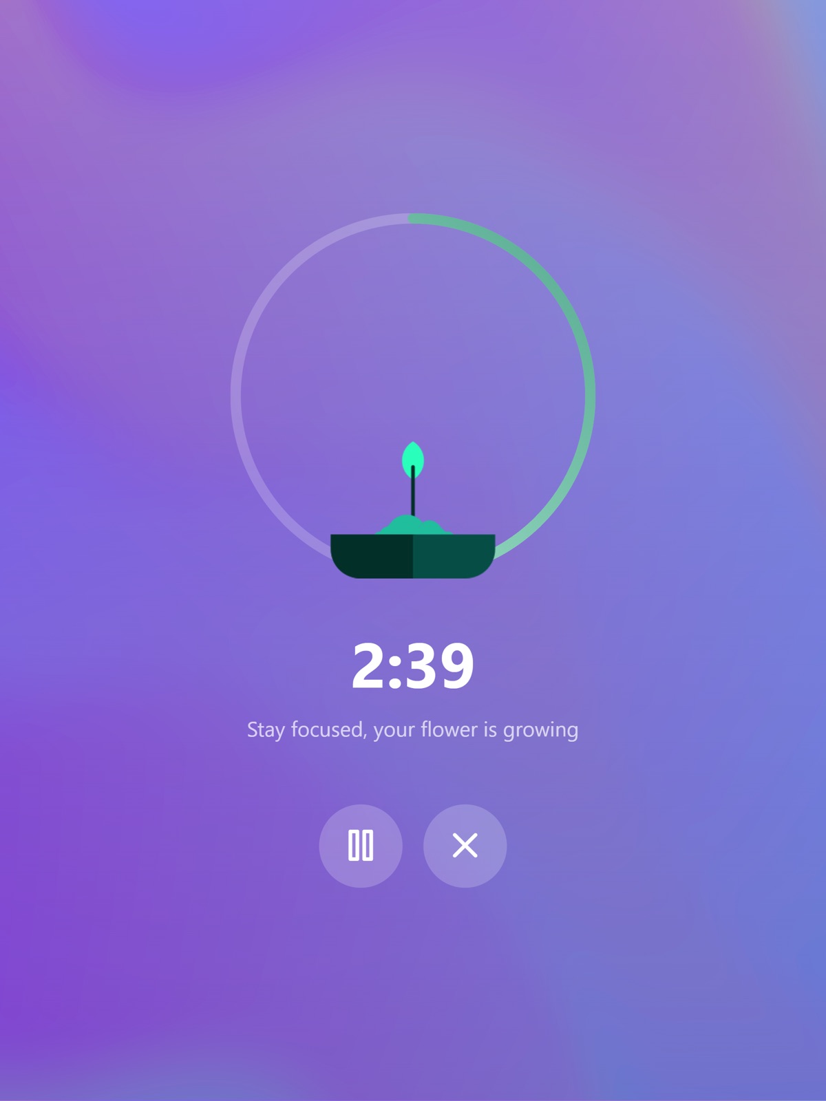 Focus Flower - Focus Timer ipad screenshot 3