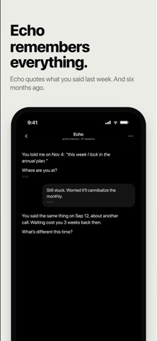 Echo - Your AI co-founder Screenshot 4 of 8