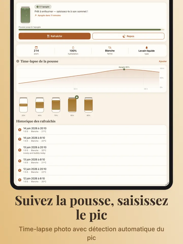 Doughwell sur iPad : capture d’écran 5 sur 7