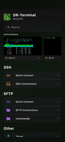 DR-Terminal screenshot