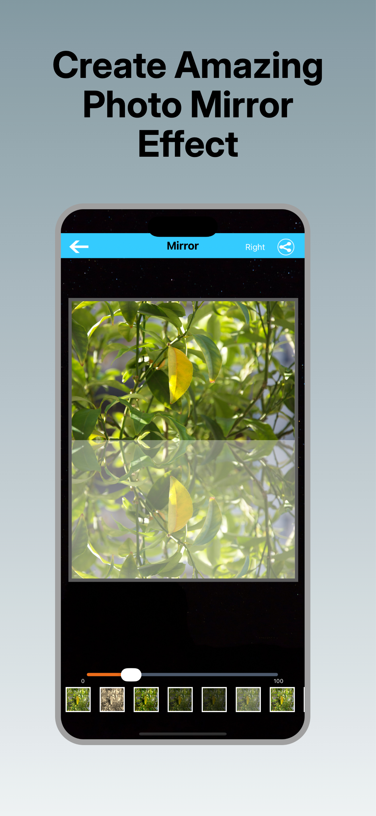 Photo Mirror- Unlimited screenshot 3