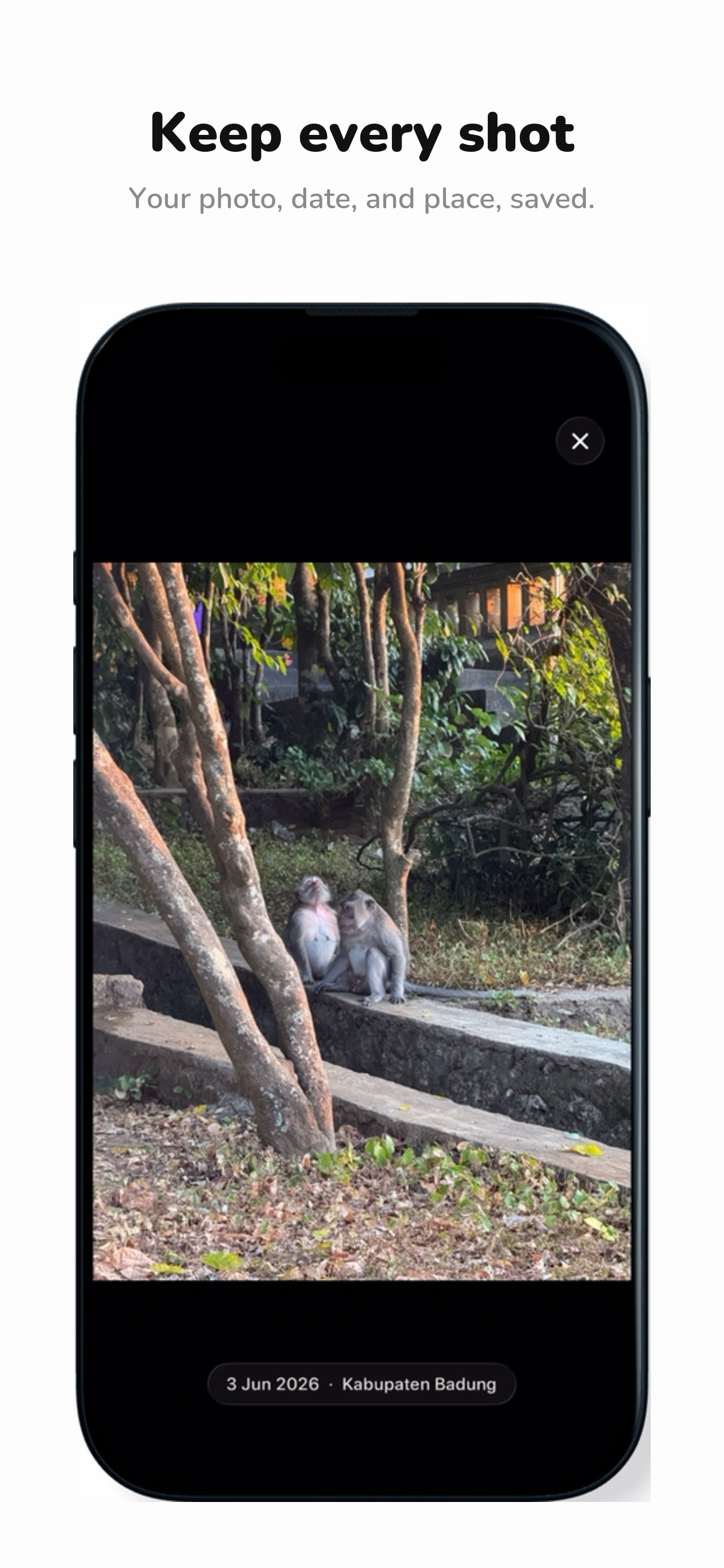Gotcha: Animal Identifier