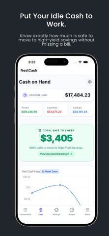NestCash screenshot