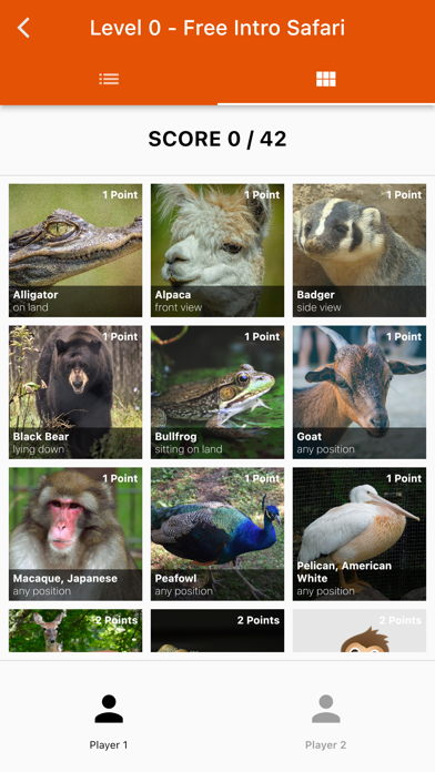 Photo Fun Safari Green Bay Zoo Screenshot