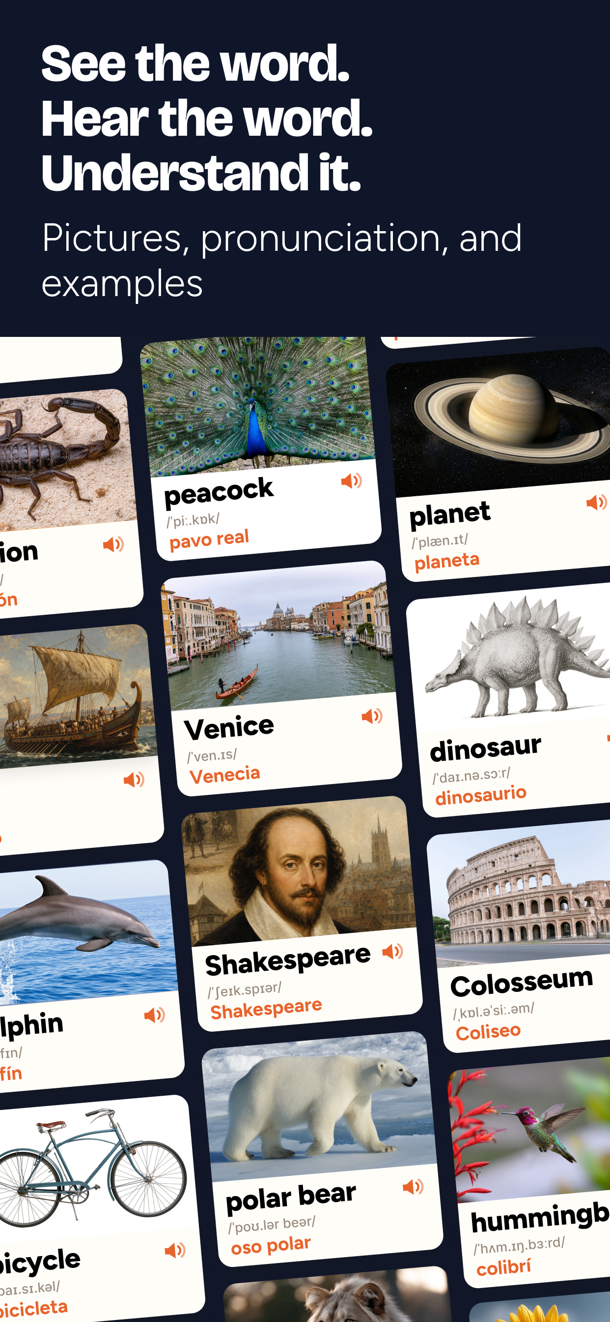 Geek Dictionary: Bilingual ESL screenshot 2