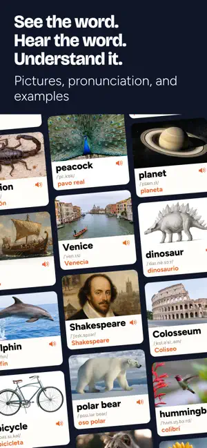 Geek Dictionary: Bilingual ESL screenshot 2