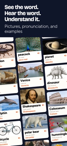 Geek Dictionary: Bilingual ESL Screenshot 2 of 8