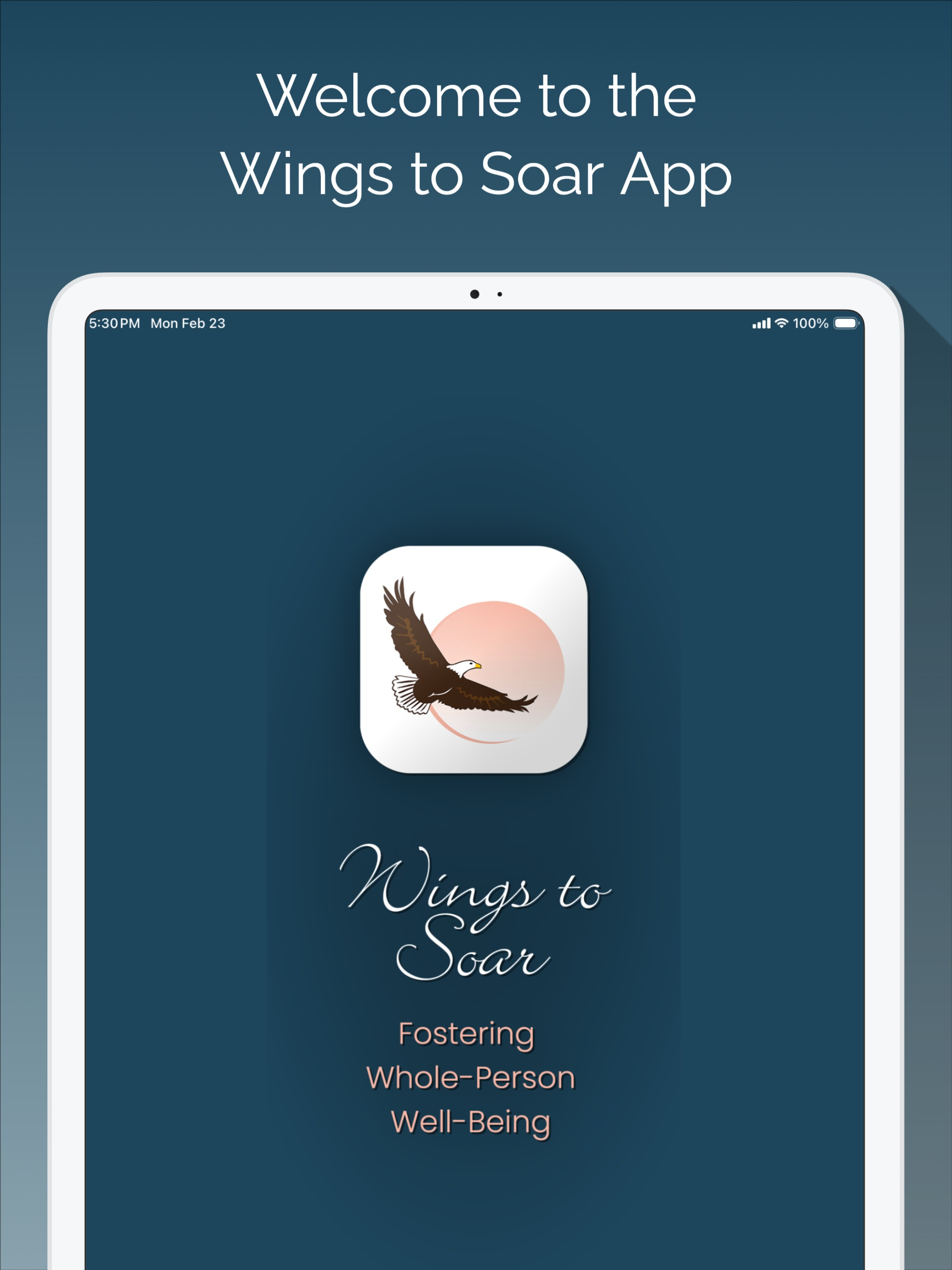 Wings to Soar screenshot 7