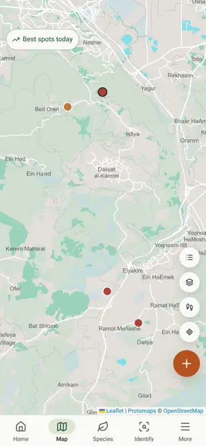 Likut: Foraging in Israel screenshot 1