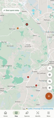 Likut: Foraging in Israel screenshot 1