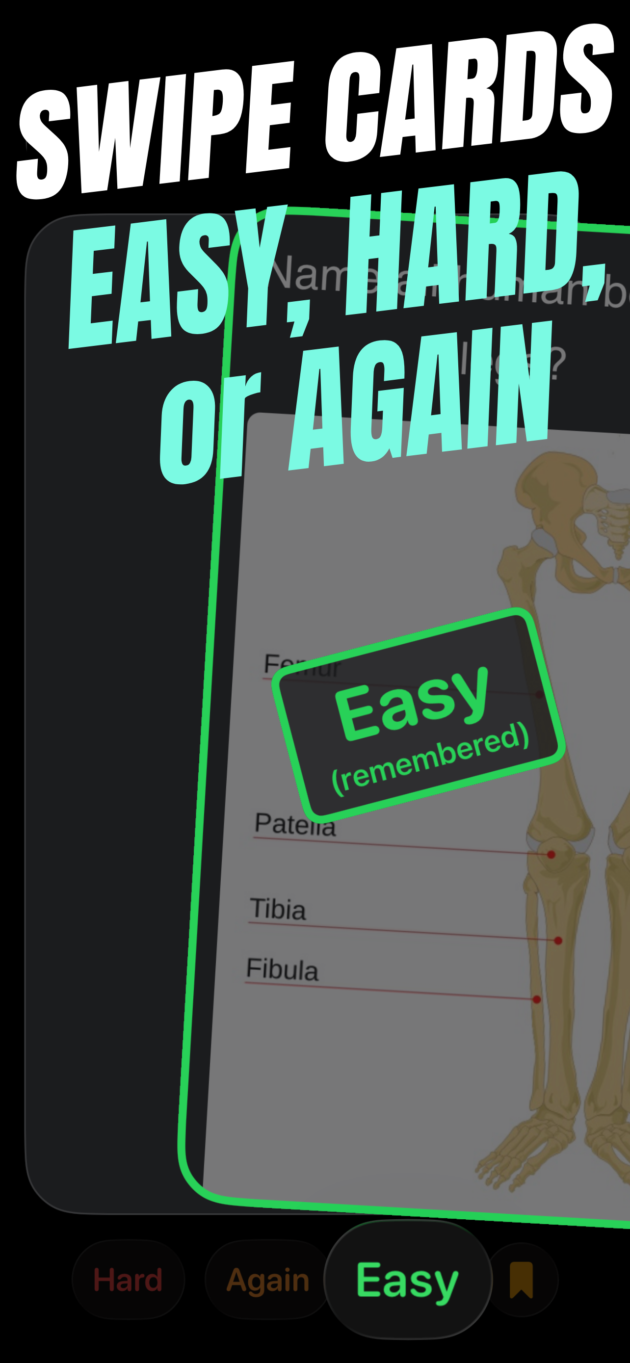CRAMMER: Index Card Exam Maker screenshot 3