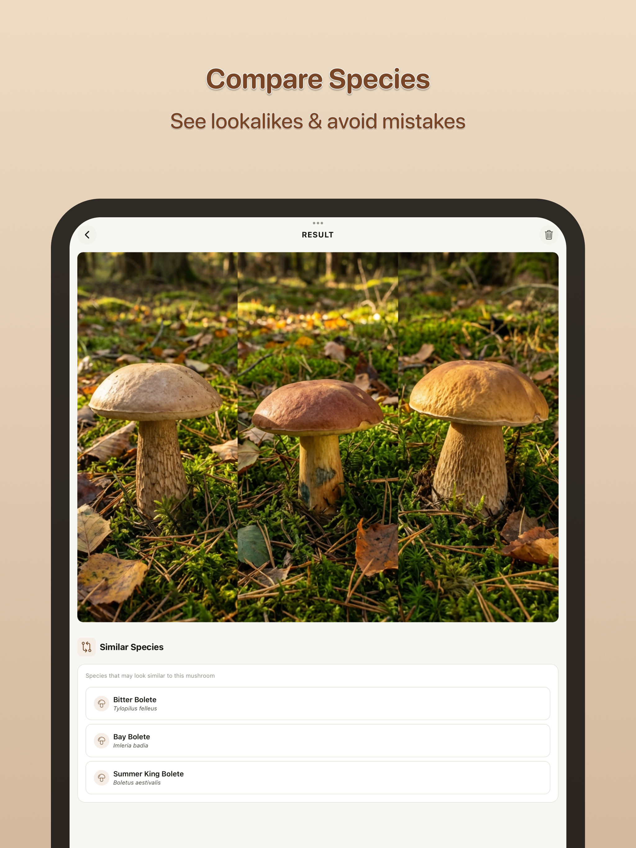 Mushroom Identifier & ID Scan screenshot 10