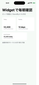 CashFlowDayBudget screenshot