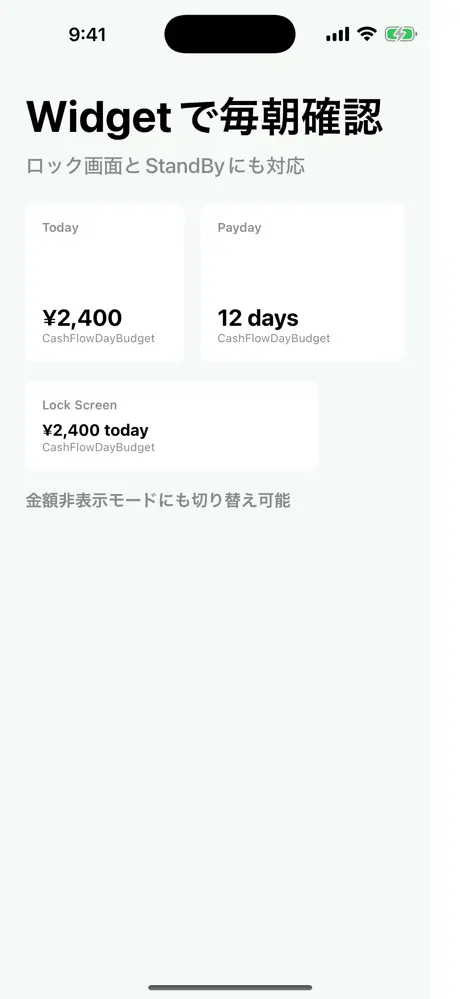 CashFlowDayBudget screenshot 4