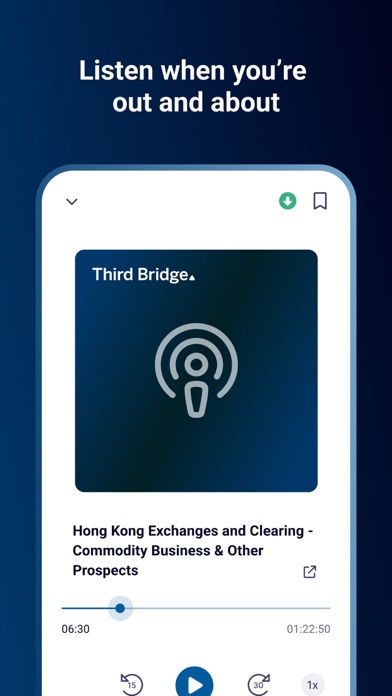 Third Bridge Screenshot