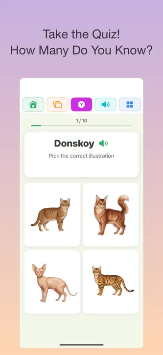100 Cats: Kids Encyclopedia screenshot 3