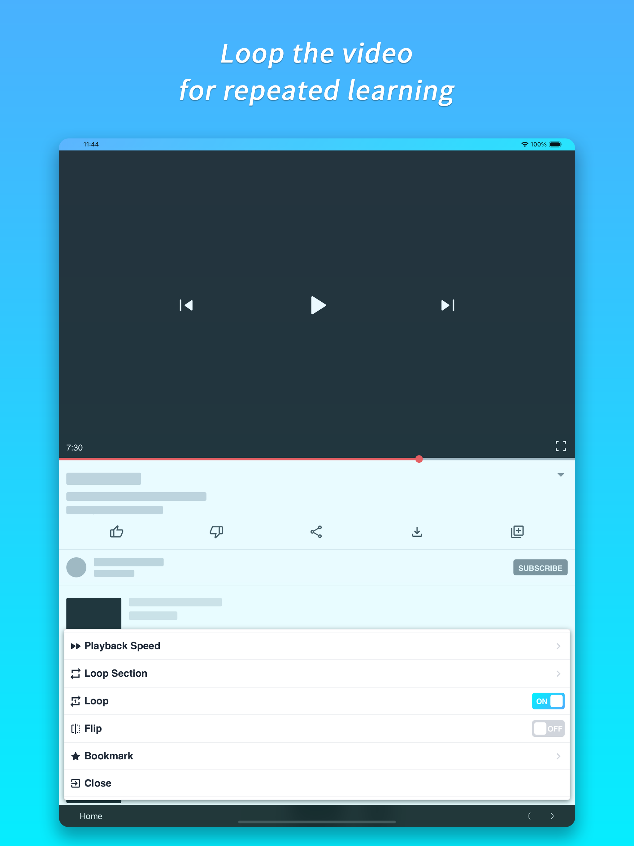 VSC Browser screenshot 10