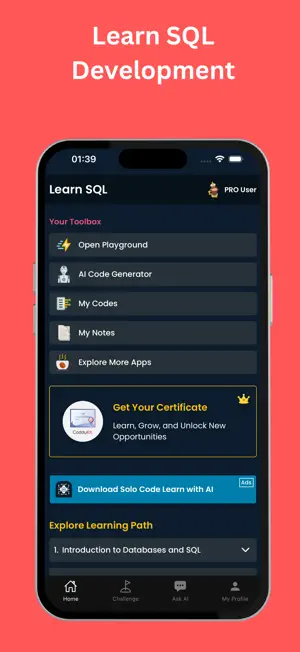 Learn SQL - Database & Queries screenshot 1