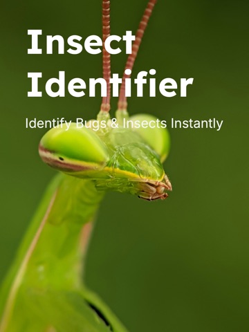Insect Identifier - Insectr iPad screenshot