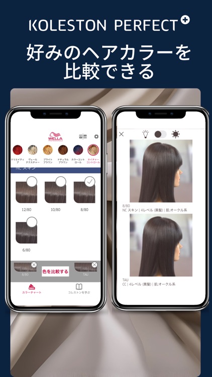 コレストンパーフェクト プラス デジタルカラーチャート screenshot-3
