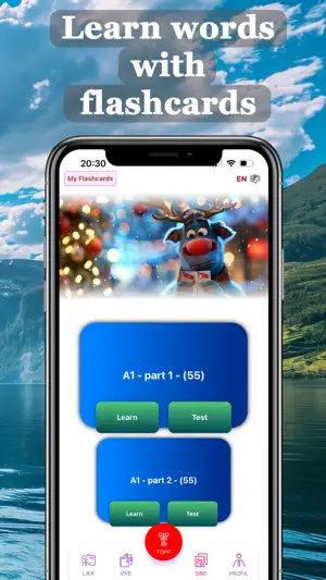 Learn Norwegian Now screenshot 3