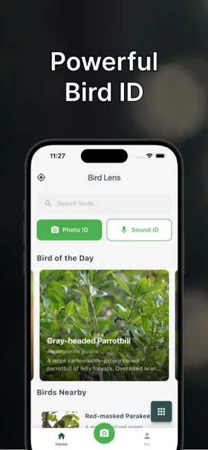 BirdLens: Bird Identifier screenshot 3