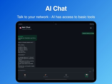 Network Analyzer - NetChat AI iPad screenshot