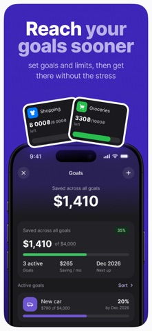 Dzing: Finance & Planning screenshot 4