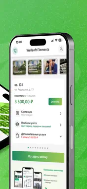 Wellsoft Elements Development screenshot 2