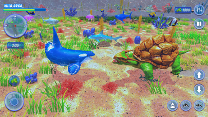 Orca Killer Whale Simulator Screenshot