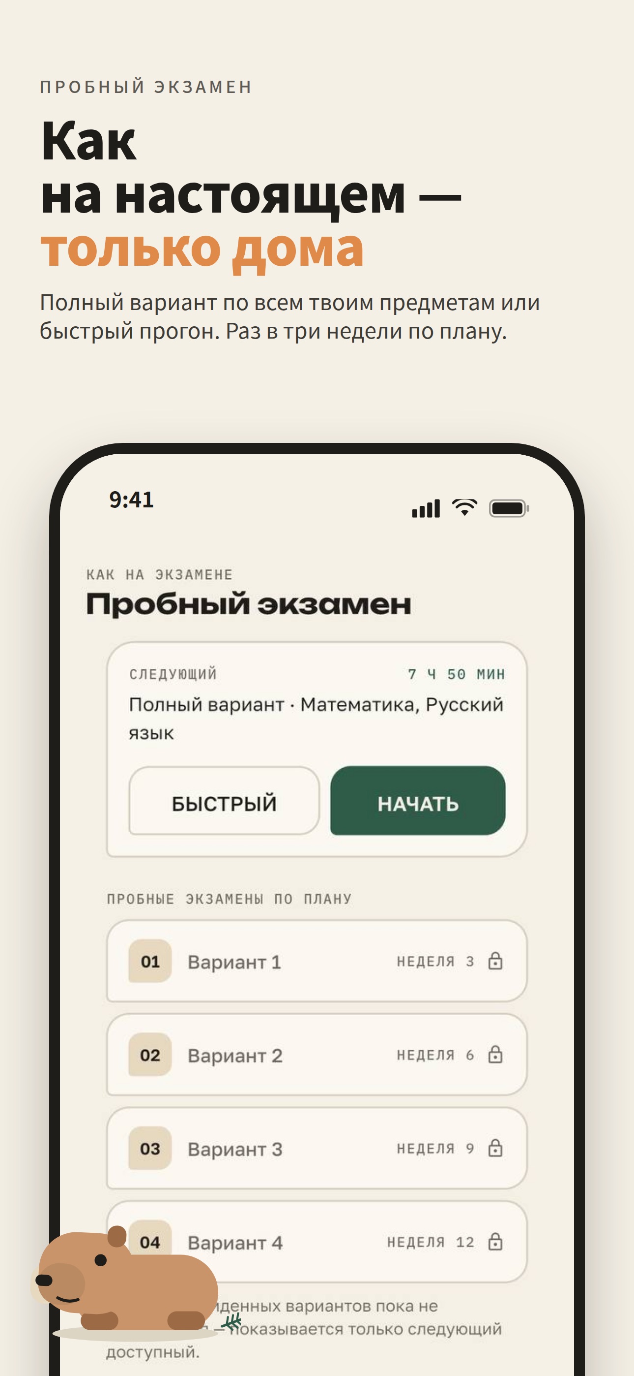 Screenshot 6 of Сдаём с капибарой: ОГЭ и ЕГЭ